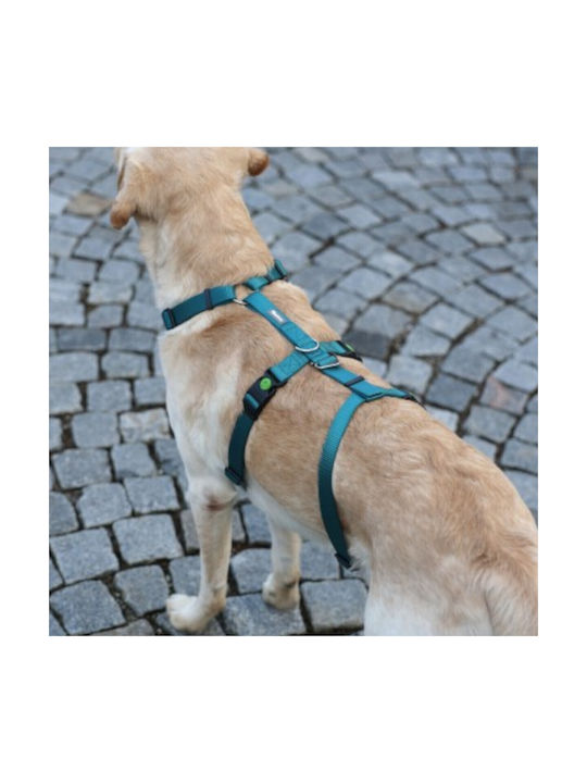 Kerbl Кучешки Повод Обучение Panic Harness Miami Син 25мм х 64-100см 80045