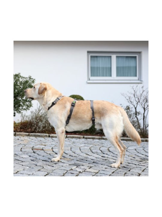 Kerbl Ham Pentru Câine Formare Gri 55-74cm 80042