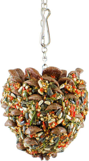Jr Farm Giant Pine Cone Gourmets Delicious Snack All Large Parrots 195 G