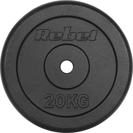 Scheibenset Metall 1 x 20kg Ø31mm
