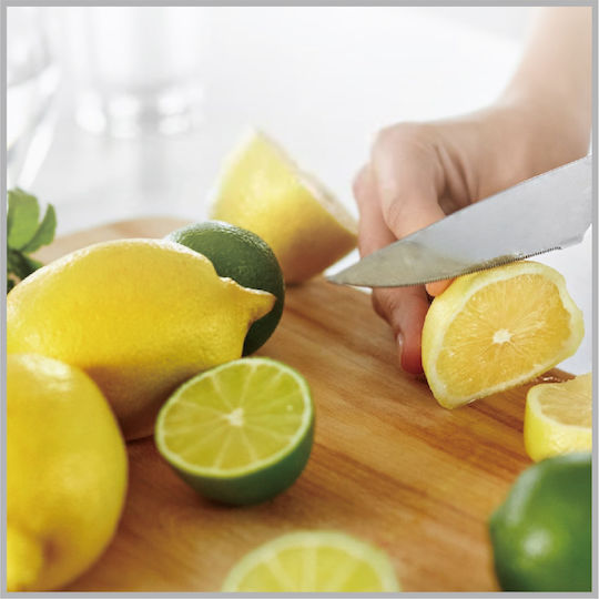 Tpster Knife General Use from Stainless Steel 24.8cm