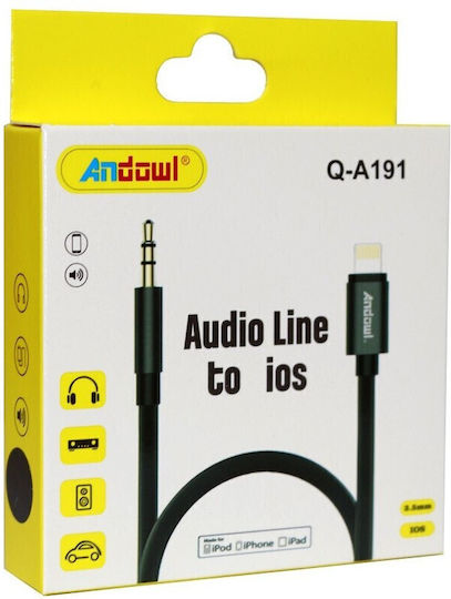 Andowl Q-A191 3.5mm zu Lightning Kabel Gold 1m