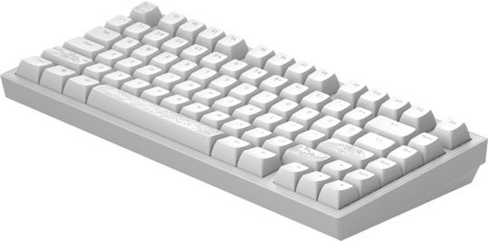Dark Project Terra Nostra Gaming Mechanical Keyboard 75% With RGB Lighting International English White