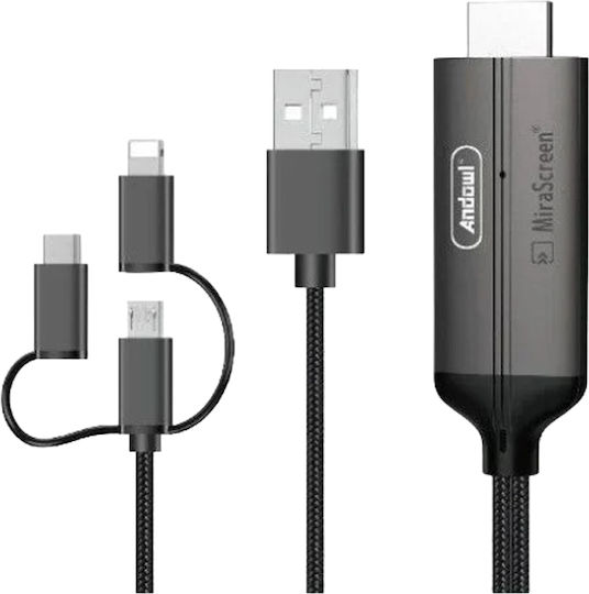 Andowl Geflochten USB zu Blitzschlag / Typ-C,TC-TC / Micro-USB Kabel 1m (Q-HD352)