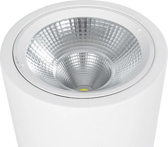GloboStar Single LED Cool White Spot in White Color