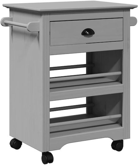 vidaXL Commercial Kitchen Food Cart H80xW67.5xD45cm