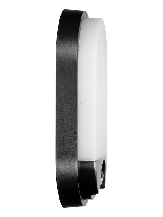 Adviti Επιτοίχια Εξωτερική Πλαφονιέρα LED IP54 15W με Φυσικό Λευκό Φως 11.92x21.22x4.45εκ.