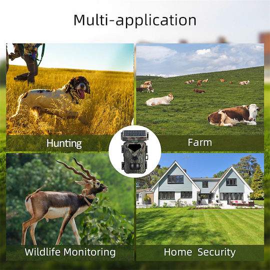 Suntek MiNi700 Hunting Camera Night Vision with Motion Detection