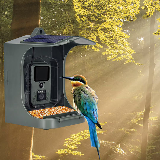 Suntek BC-303W Hunting Camera Night Vision with Motion Detection