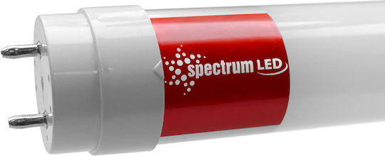 Spectrum LED Bulb 17W Fluorescent Type 120εκ. for Socket G13 and Shape T8 Natural White