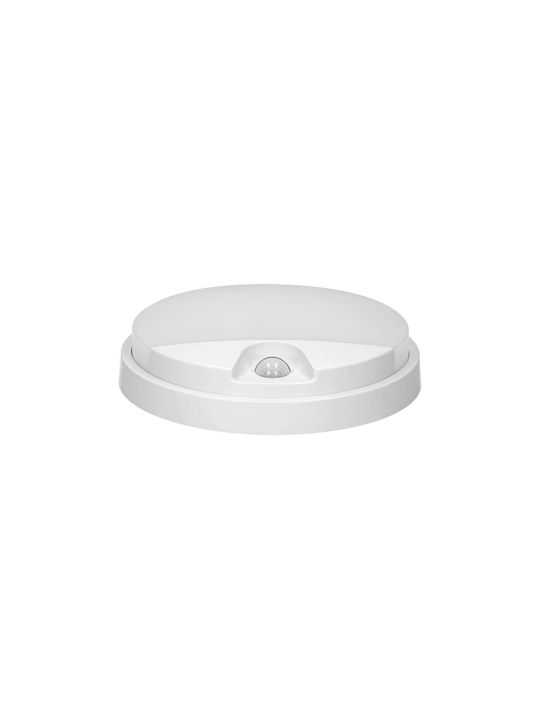 Adviti Стенен Външен Плафон LED IP54 15W с Естествено бяло Светлина 21x4.9εκ.