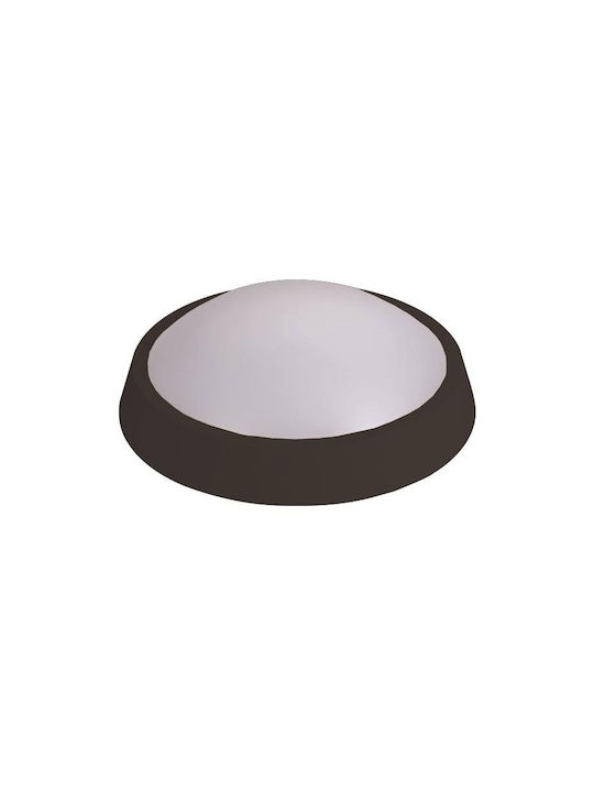 Eurolamp 2003
