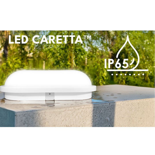 Elvhx Wall-Mounted Outdoor Turtle Light LED IP65 7W with Warm White Light