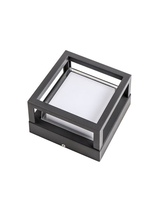 Polux Wandmontierte Außen-Deckenleuchte LED IP44 12W