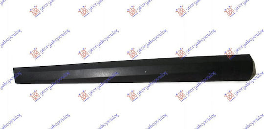 Prasco Door molding Car for Renault Megane