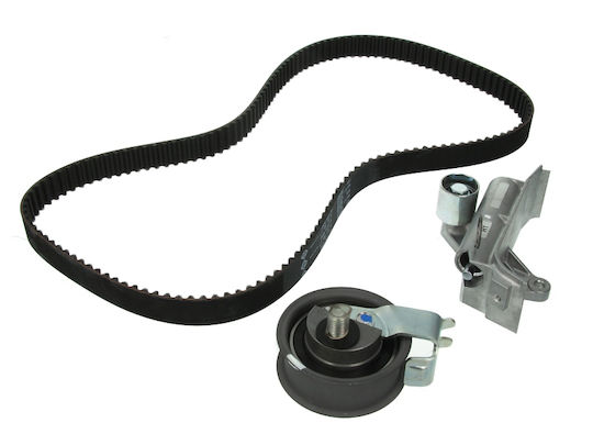 INA Set of Car Engine Belt for Skoda Octavia Volkswagen Bora / Golf Audi A4 / A6 530006710