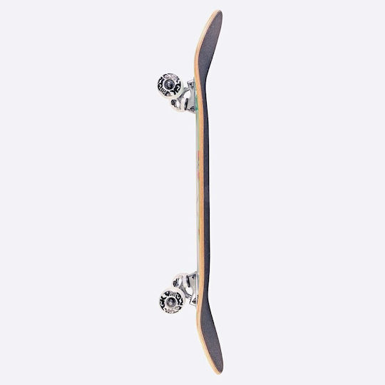 DGK Blast Off 8" Complet Placă scurtă Portocaliu