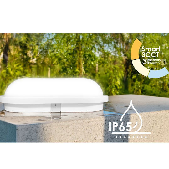 Elvhx Wall-Mounted Bulkhead Outdoor LED 20W with Adjustable White Light