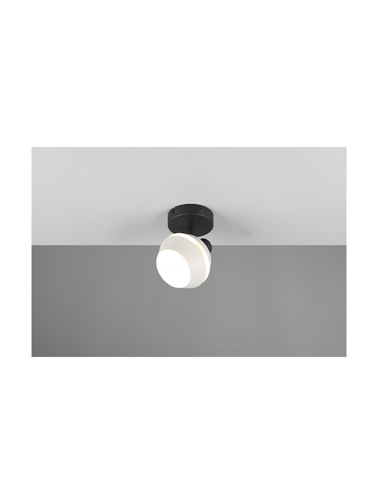 Trio Lighting Single Spot in Black Color