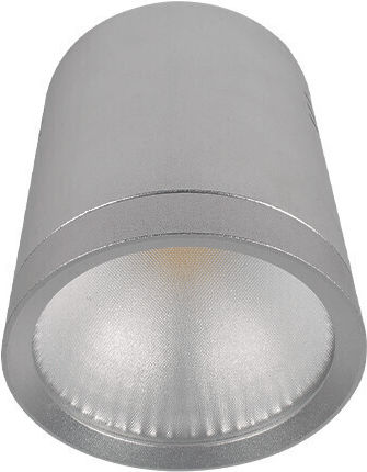 Elmark Einzel LED Warmes Weiß Spot in Silber Farbe Elmark Einzel LED Warmes Weiß Spot in Silber Farbe