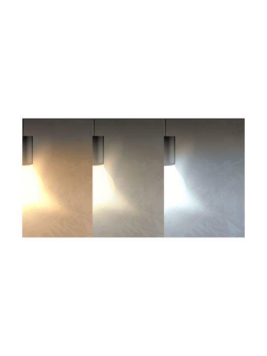 Aigostar Rectangle Metallic Frame for Spot GU10 Silver 25.5x9.1cm. 1pcs