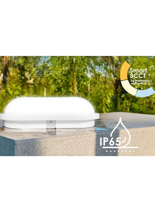 Elvhx Επιτοίχια Χελώνα Εξωτερική LED 15W με Ρυθμιζόμενο Λευκό Φως