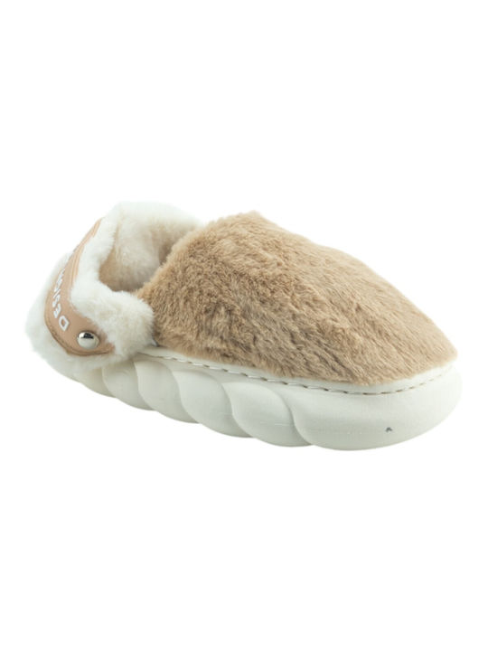 Plato Winter Women's Slippers in Green color