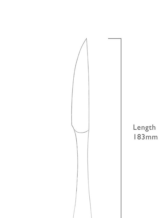 Robert Welch Radford Obstermesser aus rostfreiem Stahl