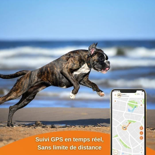 Weenect GPS Електрическа Огърлица за Куче
