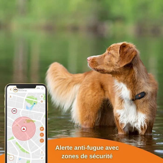 Weenect GPS Електрическа Огърлица за Куче