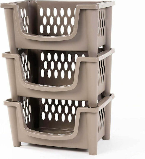 Homeplast Carina Aufbewahrungskorb Kunststoff Beige 49x34x25cm 1Stück