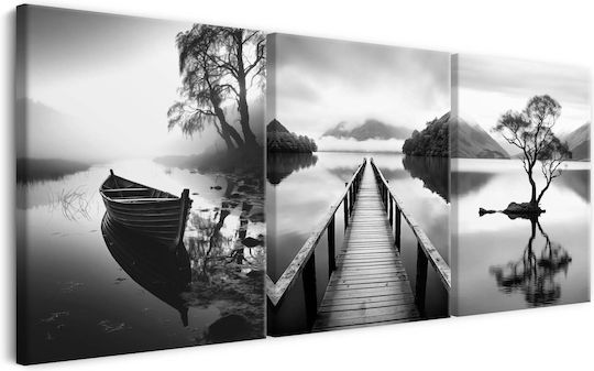 Картини за всекидневна Черно-бял триптих Пейзаж 60x120см