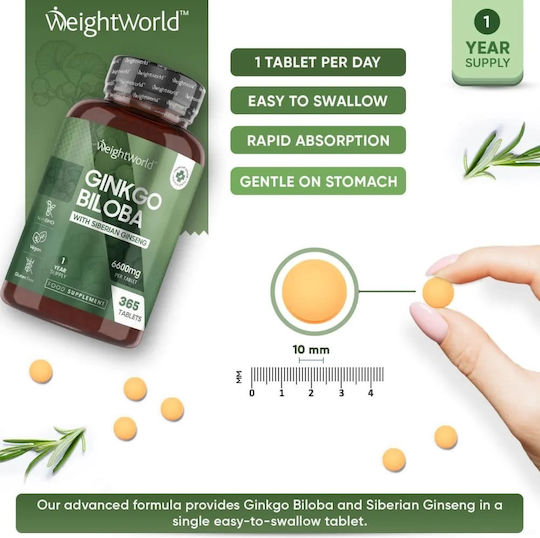 WeightWorld Ginkgo Biloba 6600mg 365 ταμπλέτες