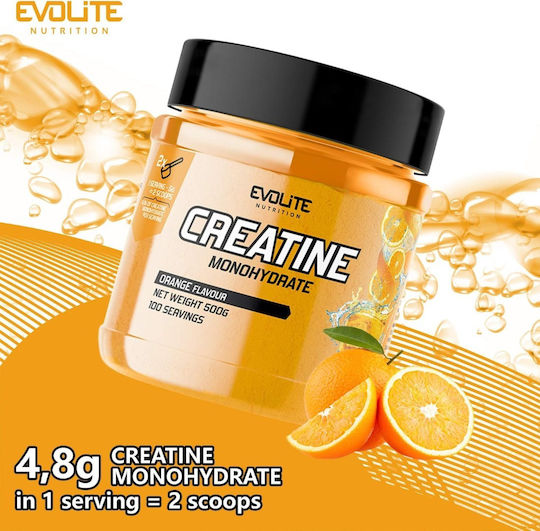 Evolite Creatine Monohydrate Orange 500gr