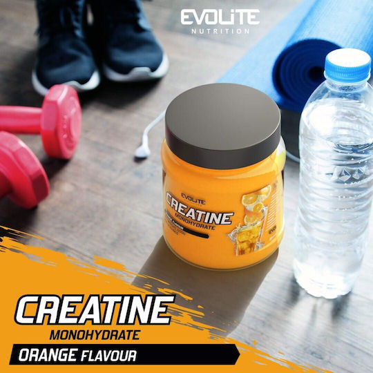 Evolite Creatine Monohydrate Orange 500gr