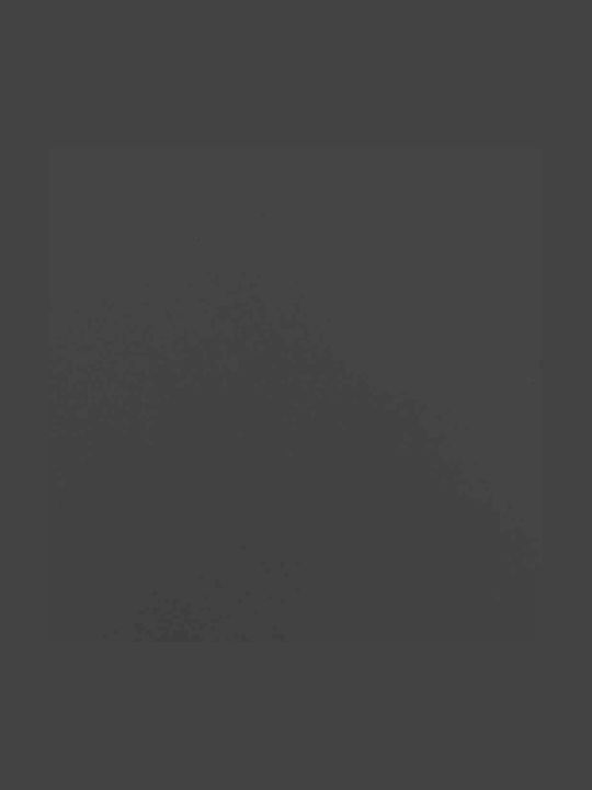 vidaXL Lemn Raft Depozitare lemne 44x28x65cm Negru
