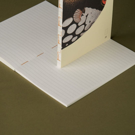Paper Republic Clown Triggerfish Notebook A5 Ruled Multicolour