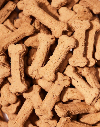 KYON Бисквити за Кучета с Тиква и Канабис 140gr