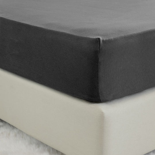 Nima Tender Nima Tender