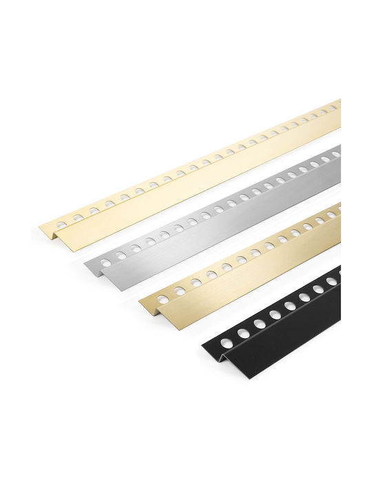 Μπροστινή Λωρίδα Δίσκου Ντους 120cm Gold