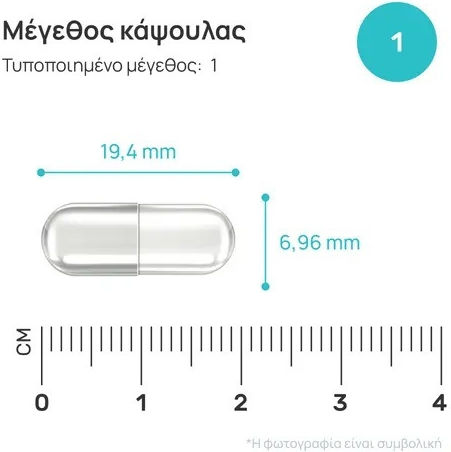 OnEnergy Bacopa monnieri 1200mg 90 κάψουλες