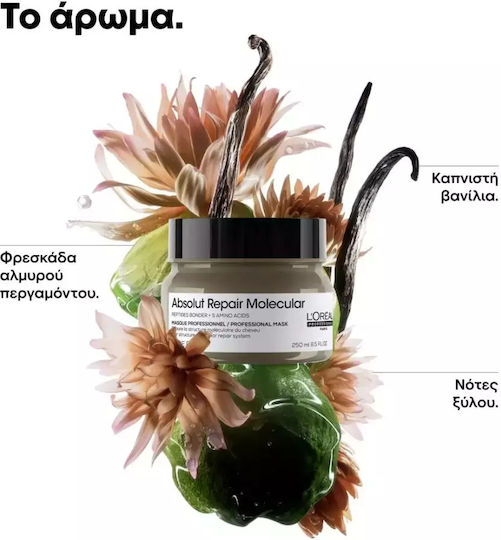 L'Oréal Professionnel Absolut Repair Molecular Hair Mask for Repairing with Peptides 500ml