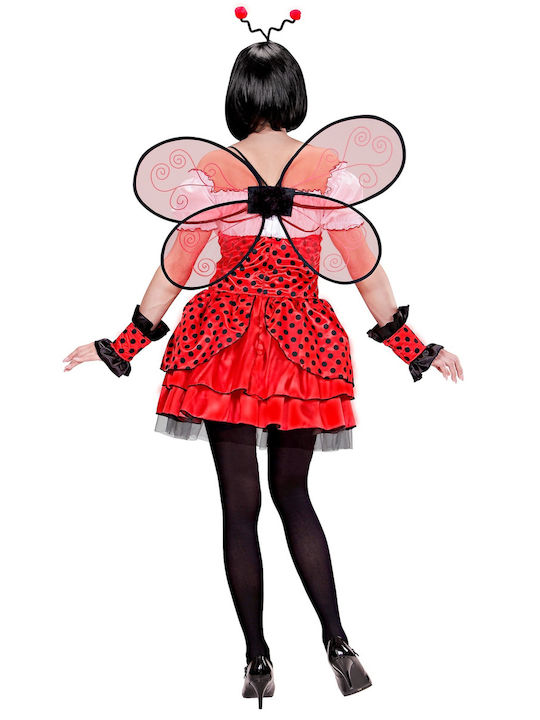 Carnival Costume Ladybug