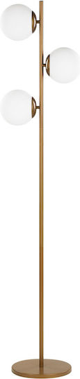 Beliani Floor Lamp H153cm. Gold Beliani Floor Lamp H153cm. Gold