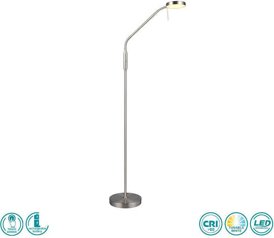 Trio Lighting R445611 Trio Lighting R445611