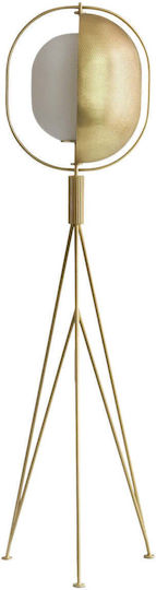 101 Copenhagen Floor Lamp H140cm. Gold 101 Copenhagen Floor Lamp H140cm. Gold