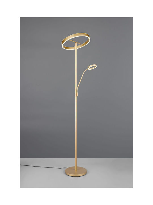 Trio Lighting Floor Lamp Gold