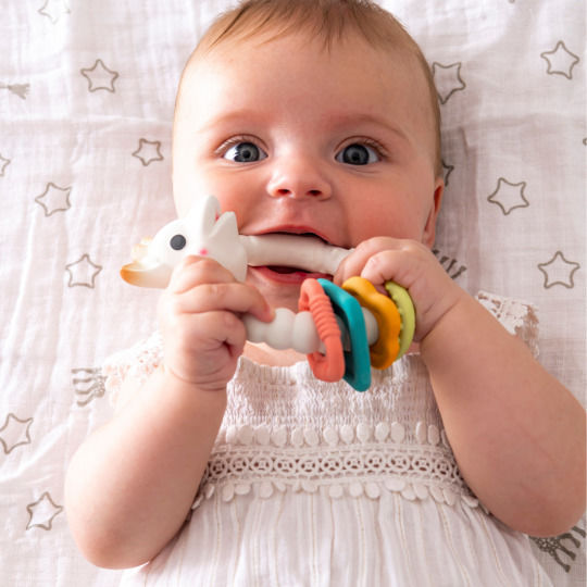 Sophie La Girafe Teething Ring Teething Relief Made of Rubber for 0 m+