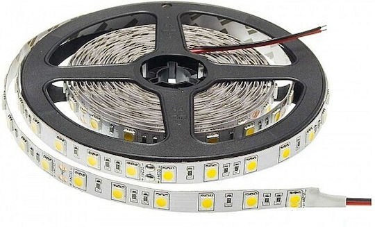 Vito LED Strip 12V RGB Light 5m with Power Supply