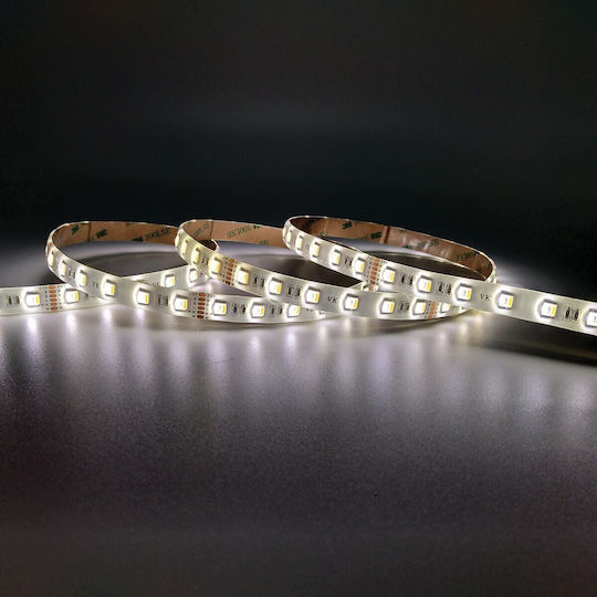 VK Lighting Αδιάβροχη Ταινία LED 24V RGBWW Φως 5m Τύπου SMD2835